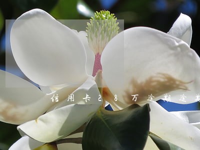 信用卡28万逾期逾期半年 信用卡28万逾期逾期半年
