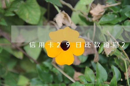 信用卡29日还款逾期2天 信用卡29日还款逾期2天