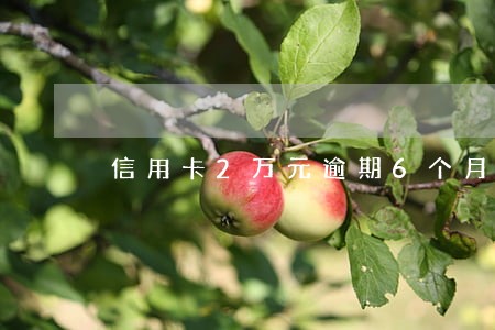 信用卡2万元逾期6个月利息 信用卡2万元逾期6个月利息