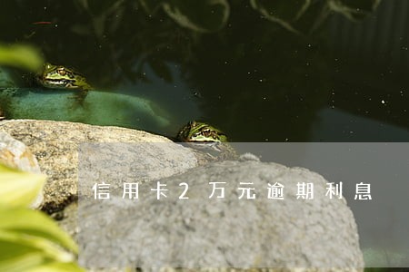 信用卡2万元逾期利息 信用卡2万元逾期利息
