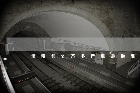 信用卡2万多严重逾期后果 信用卡2万多严重逾期后果