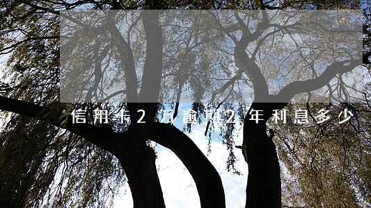 信用卡2万逾期2年利息多少