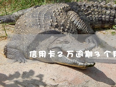信用卡2万逾期3个月会怎样 信用卡2万逾期3个月会怎样