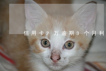 信用卡2万逾期3个月利息 信用卡2万逾期3个月利息