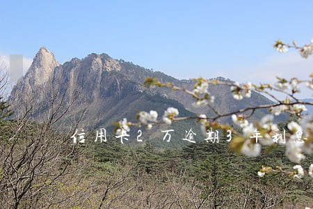 信用卡2万逾期3年利息是多少