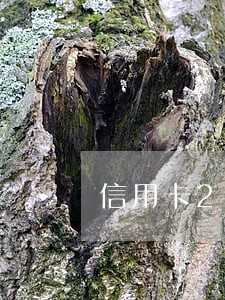 信用卡2万逾期3年多久抓人 信用卡2万逾期3年多久抓人