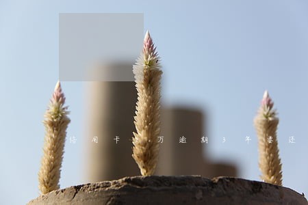 信用卡2万逾期3年要还多少钱 信用卡2万逾期3年要还多少钱