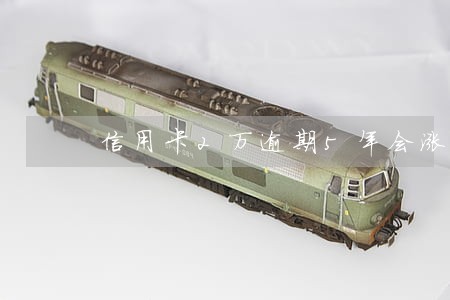 信用卡2万逾期5年会涨多少 信用卡2万逾期5年会涨多少