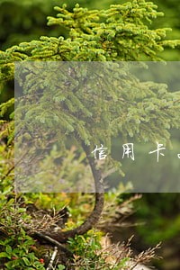 信用卡2万逾期一个月利息要多少 信用卡2万逾期一个月利息要多少