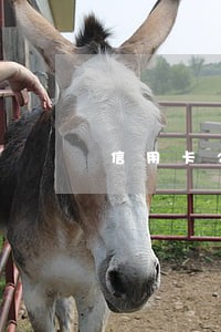信用卡2万逾期一个月多少钱 信用卡2万逾期一个月多少钱