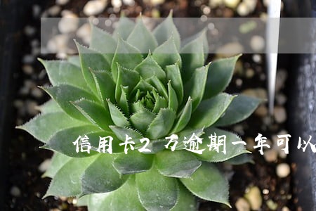 信用卡2万逾期一年可以上网吧吗