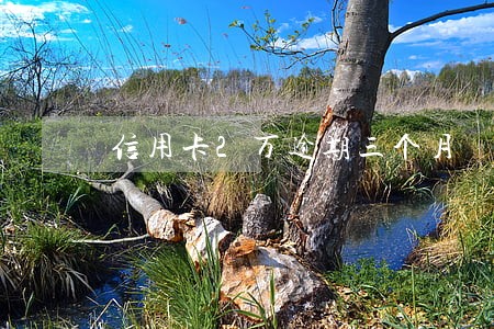 信用卡2万逾期三个月