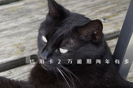 信用卡2万逾期两年有多少利息 信用卡2万逾期两年有多少利息
