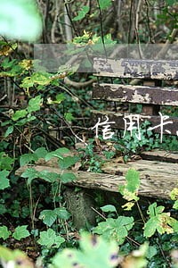信用卡2万逾期有还款行为 信用卡2万逾期有还款行为