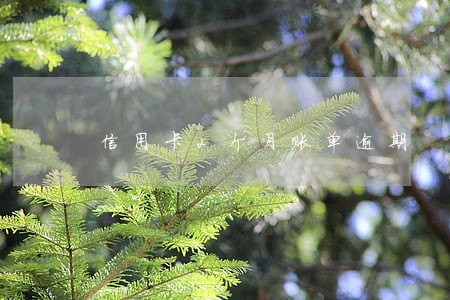 信用卡2个月账单逾期 信用卡2个月账单逾期