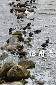 信用卡2个月逾期还能贷款嘛 信用卡2个月逾期还能贷款嘛