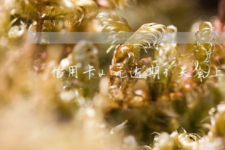 信用卡2元逾期3天会上征信吗 信用卡2元逾期3天会上征信吗