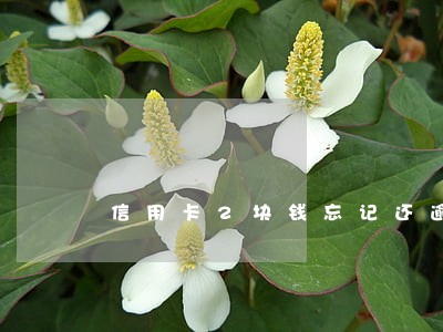 信用卡2块钱忘记还逾期三天 信用卡2块钱忘记还逾期三天