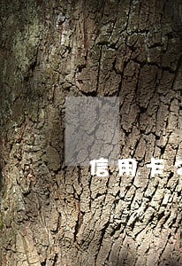 信用卡2年前逾期90天 信用卡2年前逾期90天