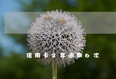 信用卡2年逾期6次