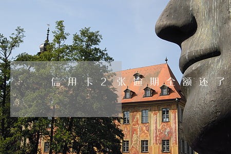 信用卡2张逾期全额还了一张 信用卡2张逾期全额还了一张
