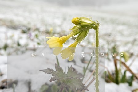 信用卡2手是逾期多久 信用卡2手是逾期多久