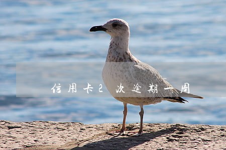 信用卡2次逾期一周 信用卡2次逾期一周