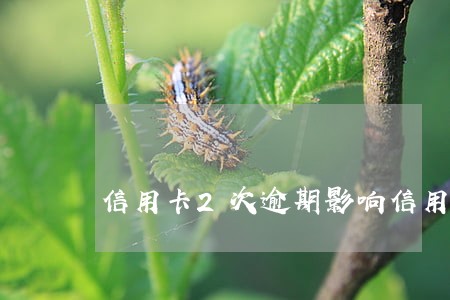 信用卡2次逾期影响信用贷款 信用卡2次逾期影响信用贷款