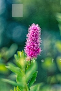 信用卡2百块逾期 信用卡2百块逾期