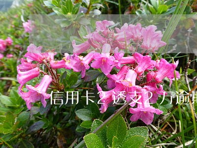 信用卡2透支2万逾期3个月 信用卡2透支2万逾期3个月