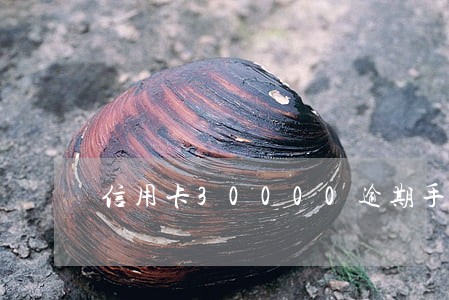 信用卡30000逾期手续费 信用卡30000逾期手续费