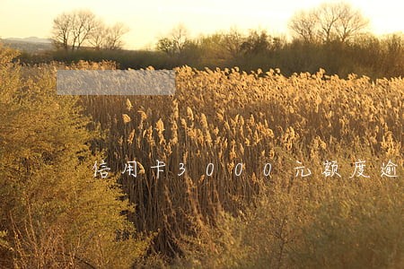 信用卡3000元额度逾期有事吗 信用卡3000元额度逾期有事吗
