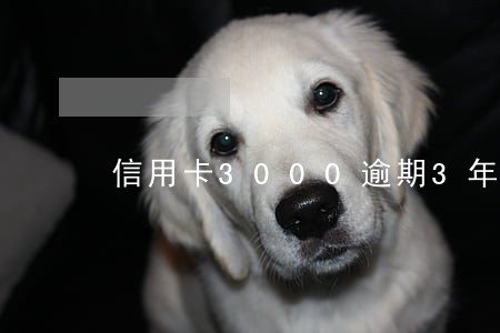 信用卡3000逾期3年了