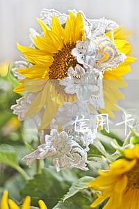 信用卡3000逾期3年还多少