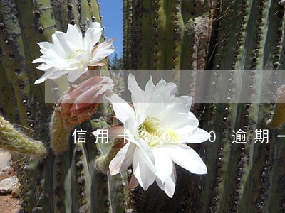 信用卡3000逾期一年多