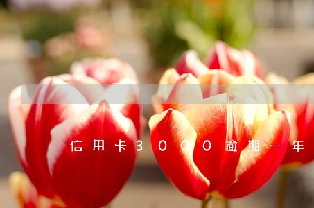 信用卡3000逾期一年多了 信用卡3000逾期一年多了