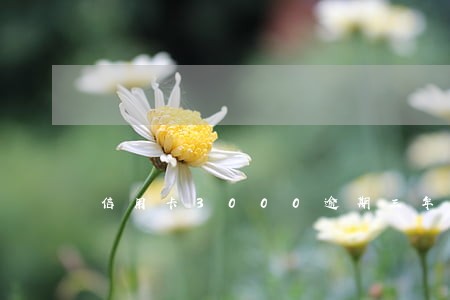 信用卡3000逾期三年征信 信用卡3000逾期三年征信