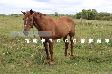 信用卡3000逾期两年6