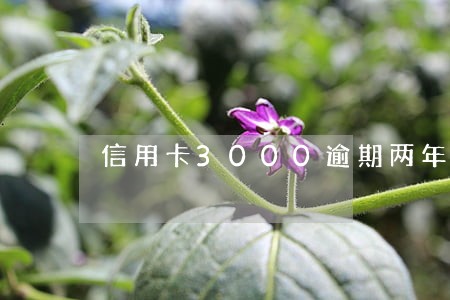 信用卡3000逾期两年被传唤