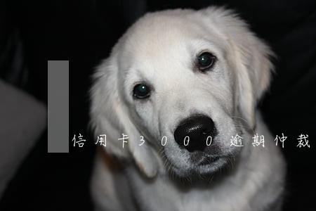信用卡3000逾期仲裁是真的吗