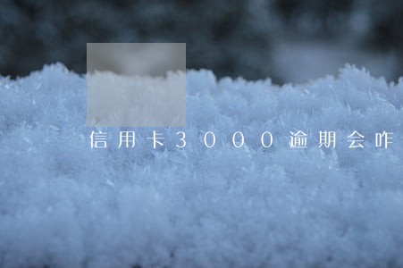 信用卡3000逾期会咋样