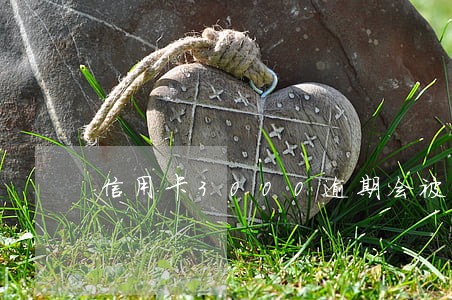 信用卡3000逾期会被起诉 信用卡3000逾期会被起诉