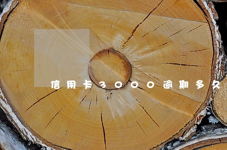 信用卡3000逾期多久报公安 信用卡3000逾期多久报公安