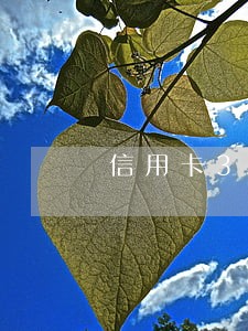 信用卡300元逾期10天