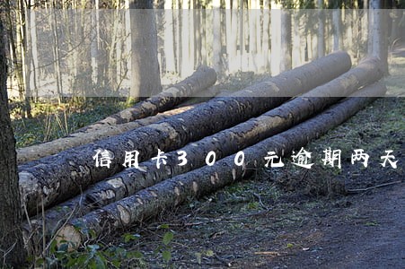 信用卡300元逾期两天 信用卡300元逾期两天
