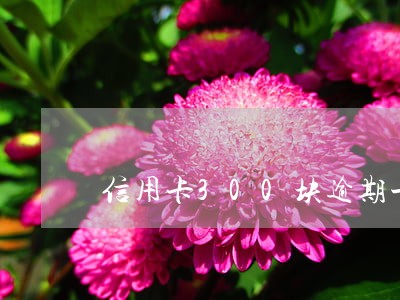 信用卡300块逾期一个月费用 信用卡300块逾期一个月费用