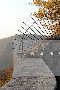 信用卡300块钱逾期 信用卡300块钱逾期