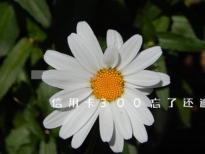 信用卡300忘了还逾期 信用卡300忘了还逾期