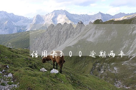 信用卡300逾期两年 信用卡300逾期两年