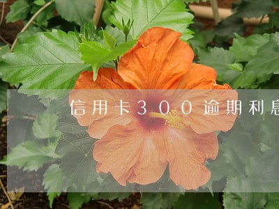 信用卡300逾期利息是多少 信用卡300逾期利息是多少